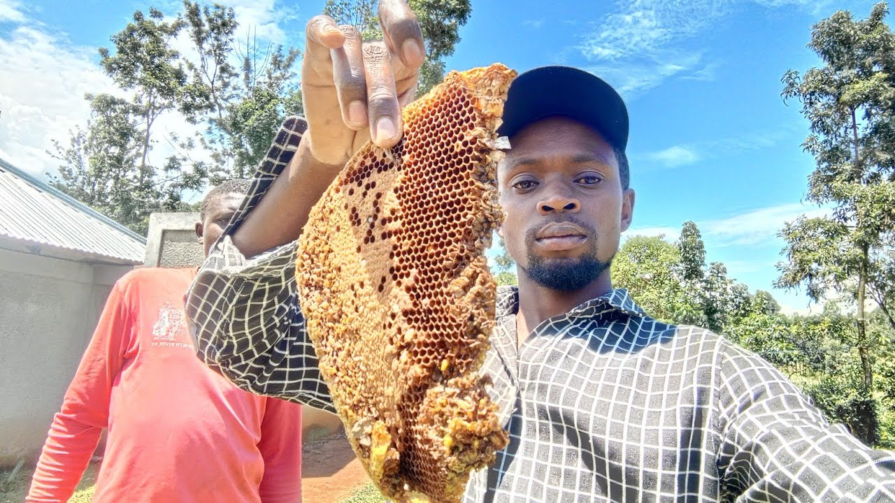 How to escape the attack of deadly bees at home..
