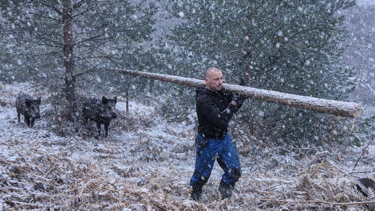 PODZEMNA KUĆA SE GRADI UVELIKO !! NOA SE POVRIJEDIO..