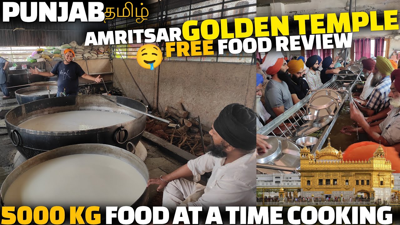 Amritsar GOLDEN TEMPLE FREE FOOD REVIEW | Cooking in WORLD'S BIGGEST 5000 Kg Kadai 😱😱 | Punjab EP 4