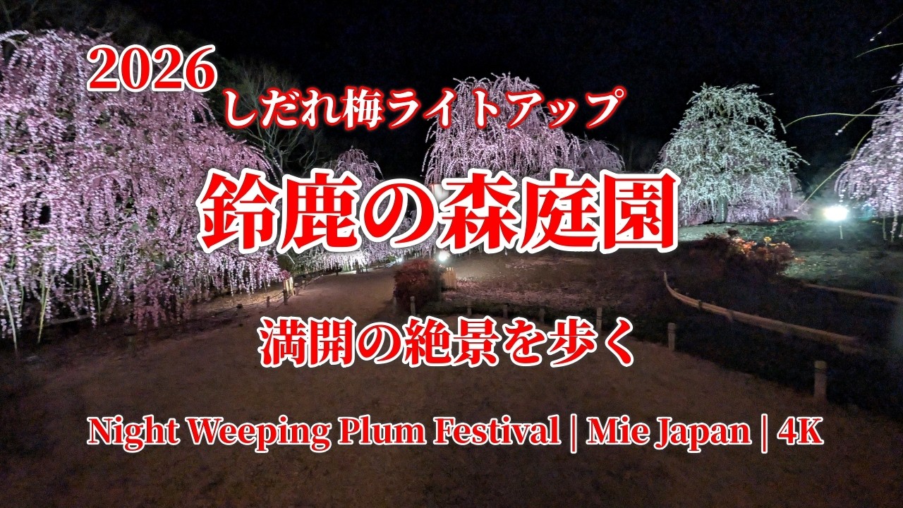 闇に浮かぶ紅白のしだれ梅！別世界のような光景｜鈴鹿の森庭園 🌸 Kasamatsu Kawazu Sakura Road | Matsusaka Mie | 4K Walk