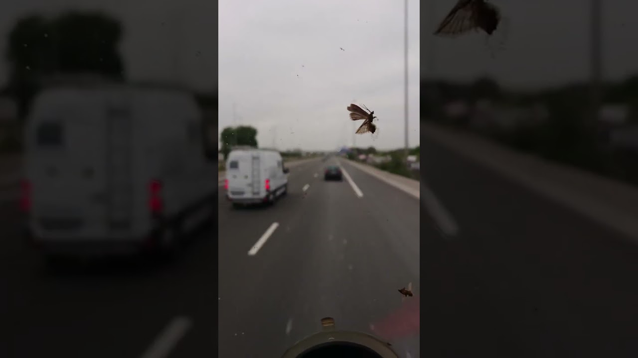 en camion semi remorque à la Courneuve à côté du Bourget Paris le 23 juin 2021
