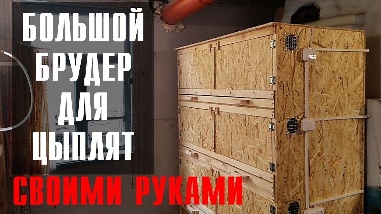 Простой БРУДЕР для цыплят СВОИМИ РУКАМИ в 3 этажа. Изготовление, освещение в самодельном брудере.