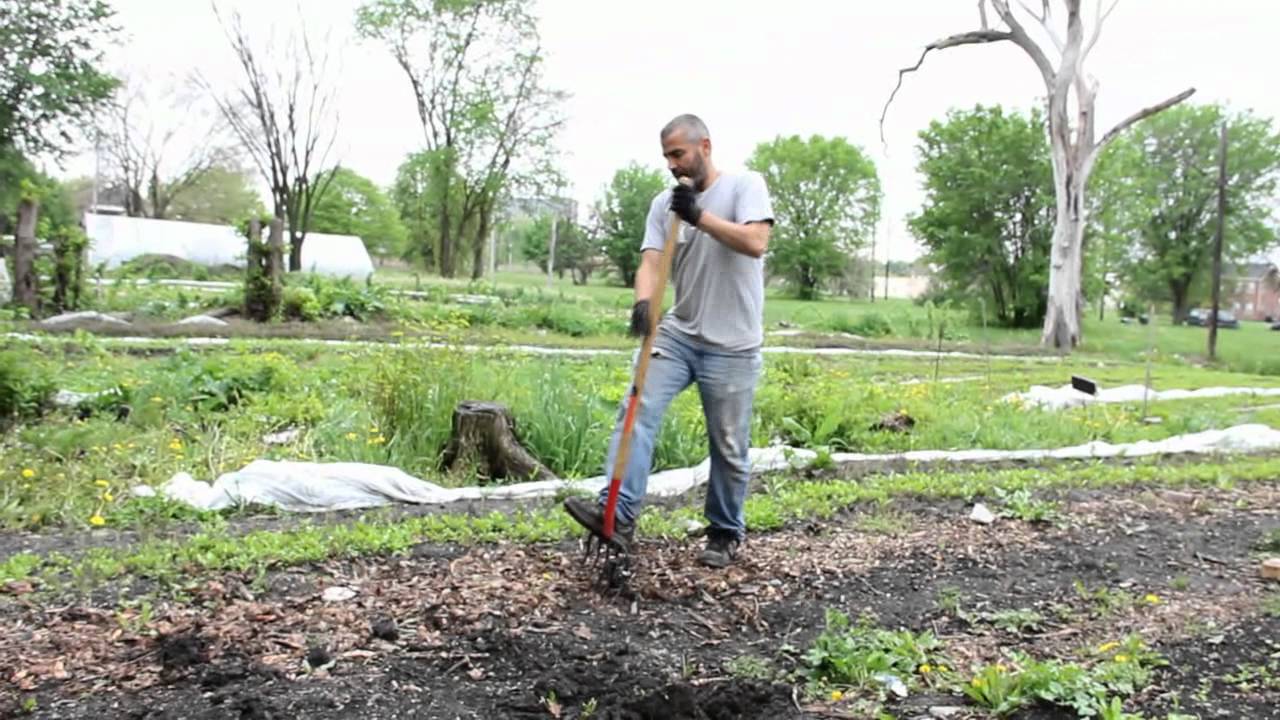 Detroit: Urban Farms to revitalize the city