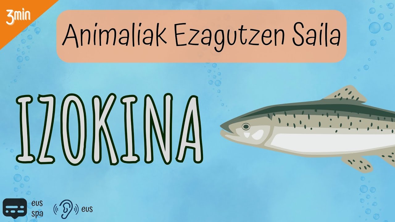Animaliak 2x05 IZOKINA | Itsas Animaliak | Arrainak