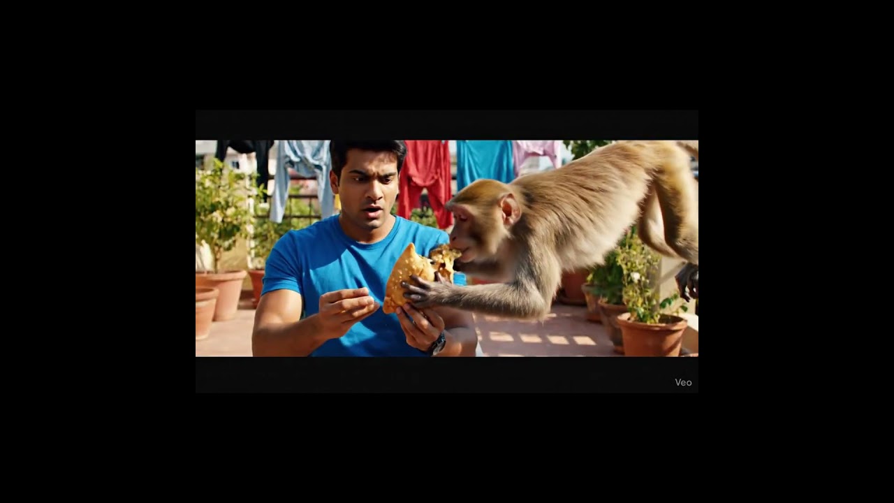 Monkey mischief 