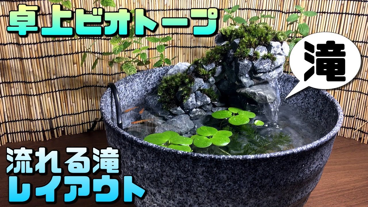 メダカのビオトープに流れる滝を作ってオシャレなレイアウトに仕上げてみた【初心者がDIYに挑戦】