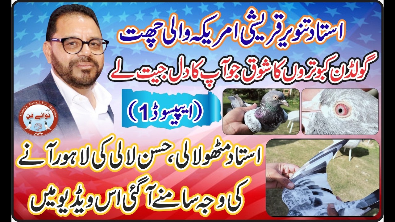 Ustad Tanveer Qureshi Jaith Waly Golden Kabooteron ka Shok