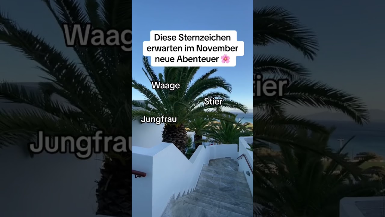 Diese Sternzeichen erwarten im November neue Abenteuer 🥰 | #shorts #sternzeichen #orakel #horoskop