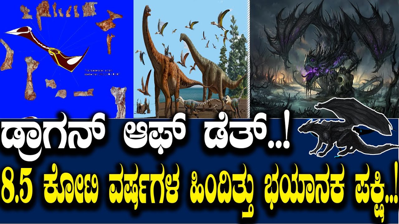 ಡ್ರಾಗನ್ ಆಫ್ ಡೆತ್..! 8.5 ಕೋಟಿ ವರ್ಷಗಳ ಹಿಂದಿತ್ತು ಭಯಾನಕ ಪಕ್ಷಿ..!