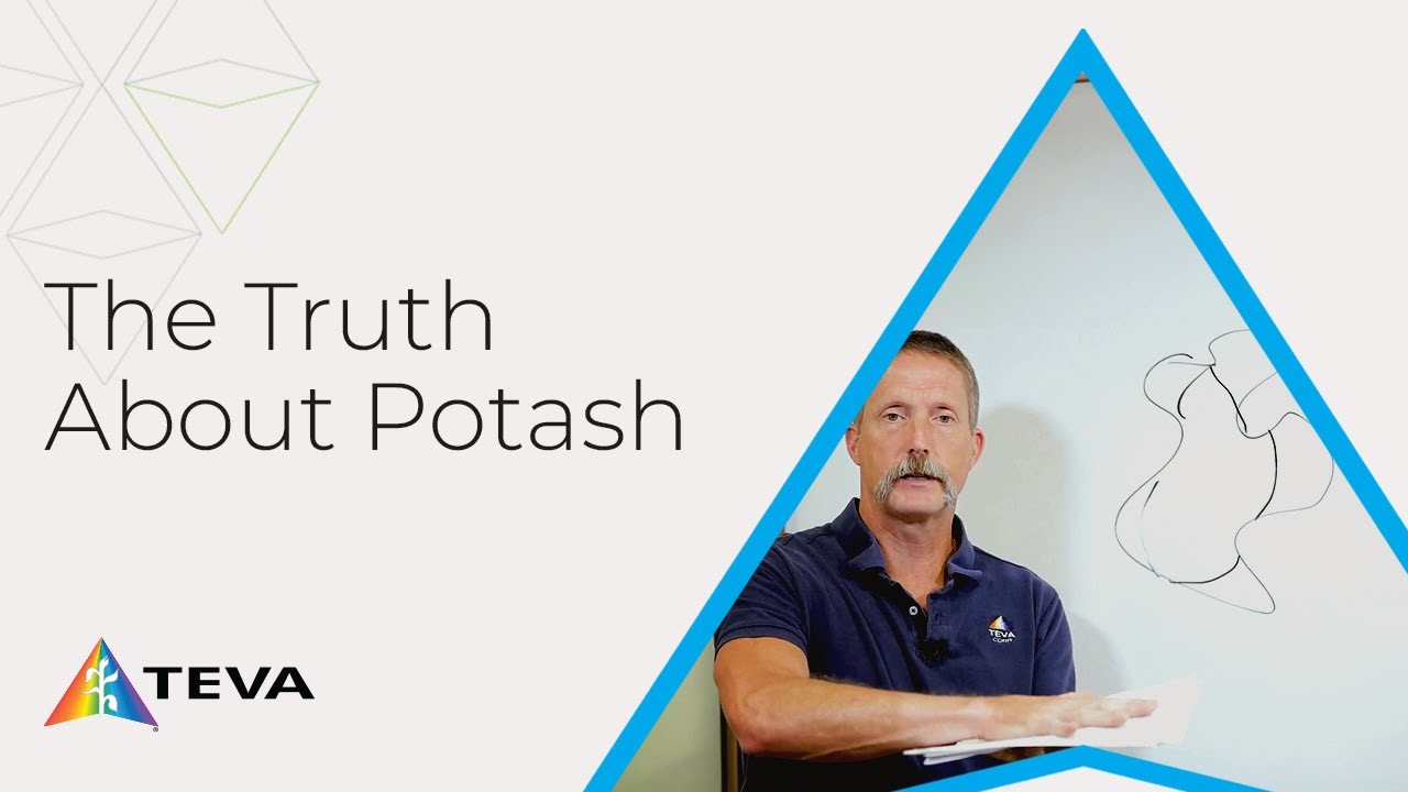 How Potash Affects Your Soil