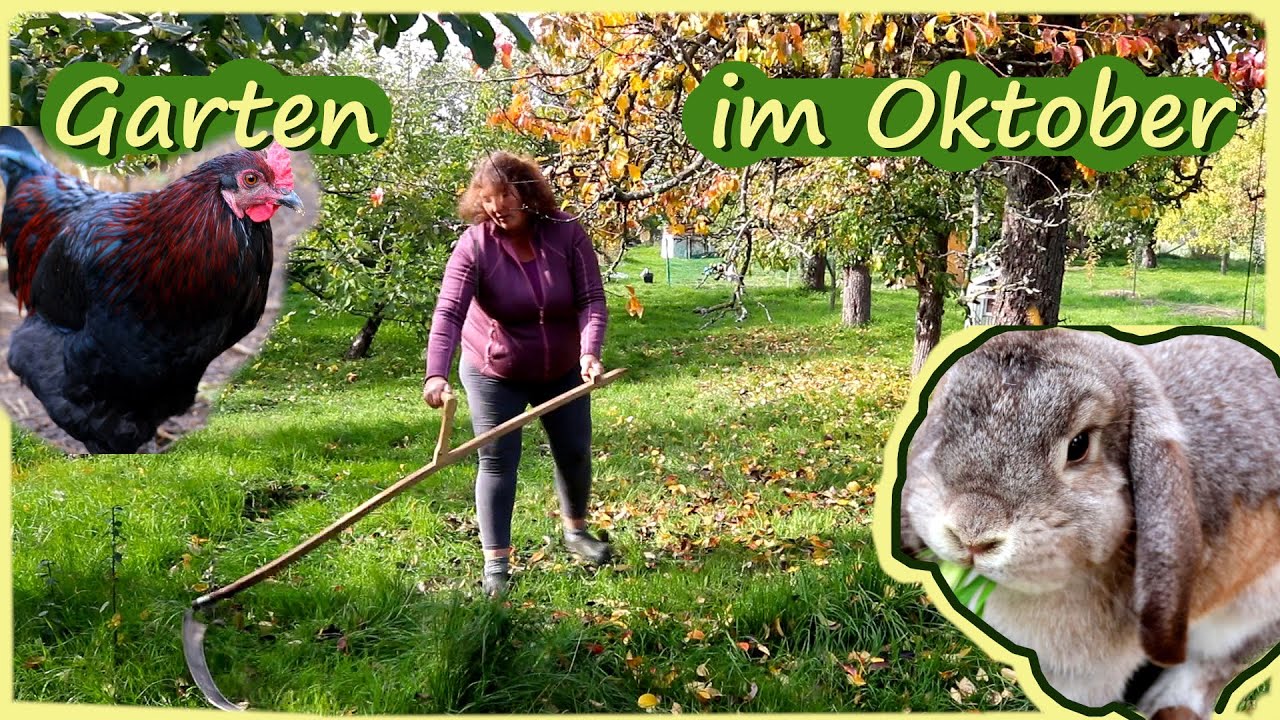 Gartenarbeit Oktober Hühner Kaninchen Selbstversorgung Gemüse Permakultur Saatgutgewinnung