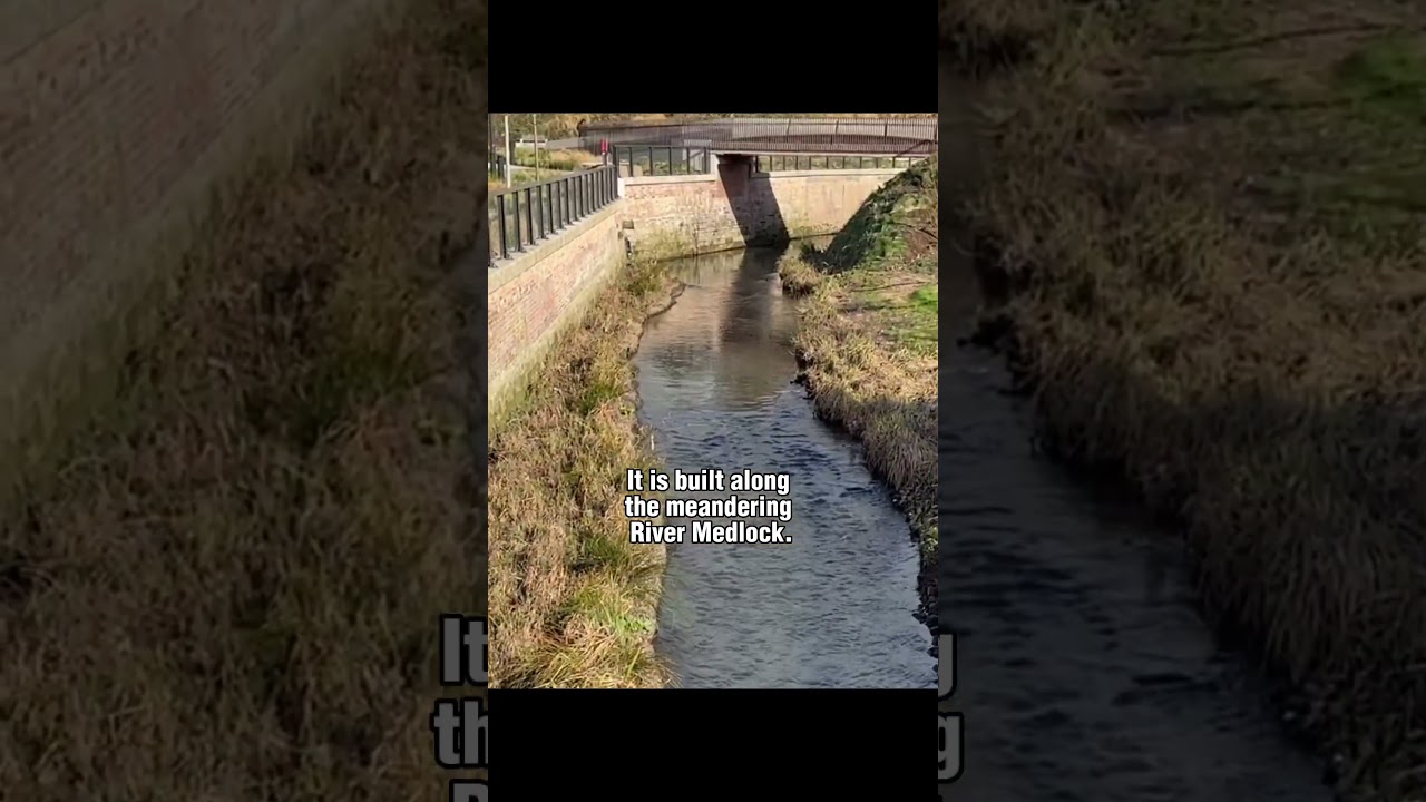 Mayfield Park on a beautiful day |  Manchester’s 21st century public garden