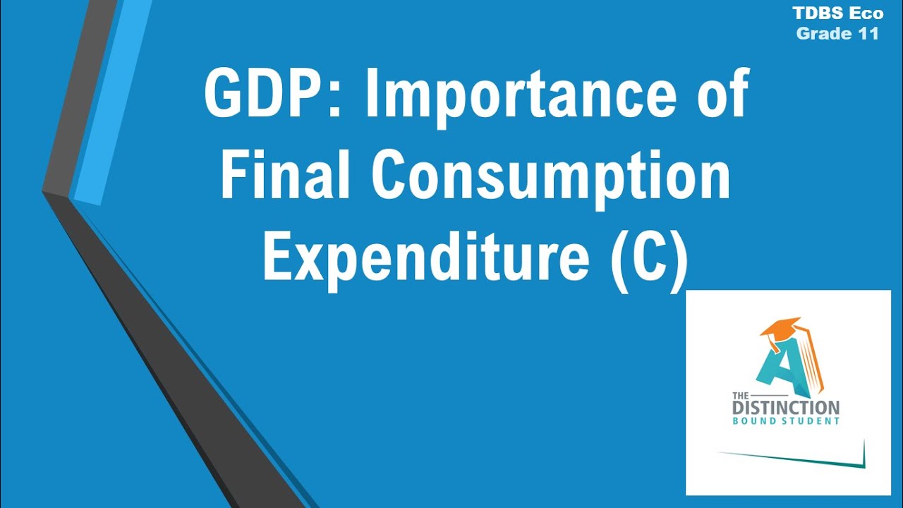 Lesson 12 Importance of (C) in C+G+I+(X-M) TDBS Economics Grade 11 by Carden Madzokere #economics