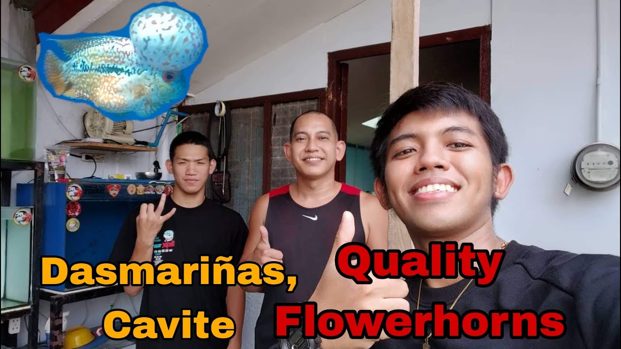 Flowerhorn Farm Visit sa PPC Flowerhorn Cavite | Sobrang daming pagpipilian