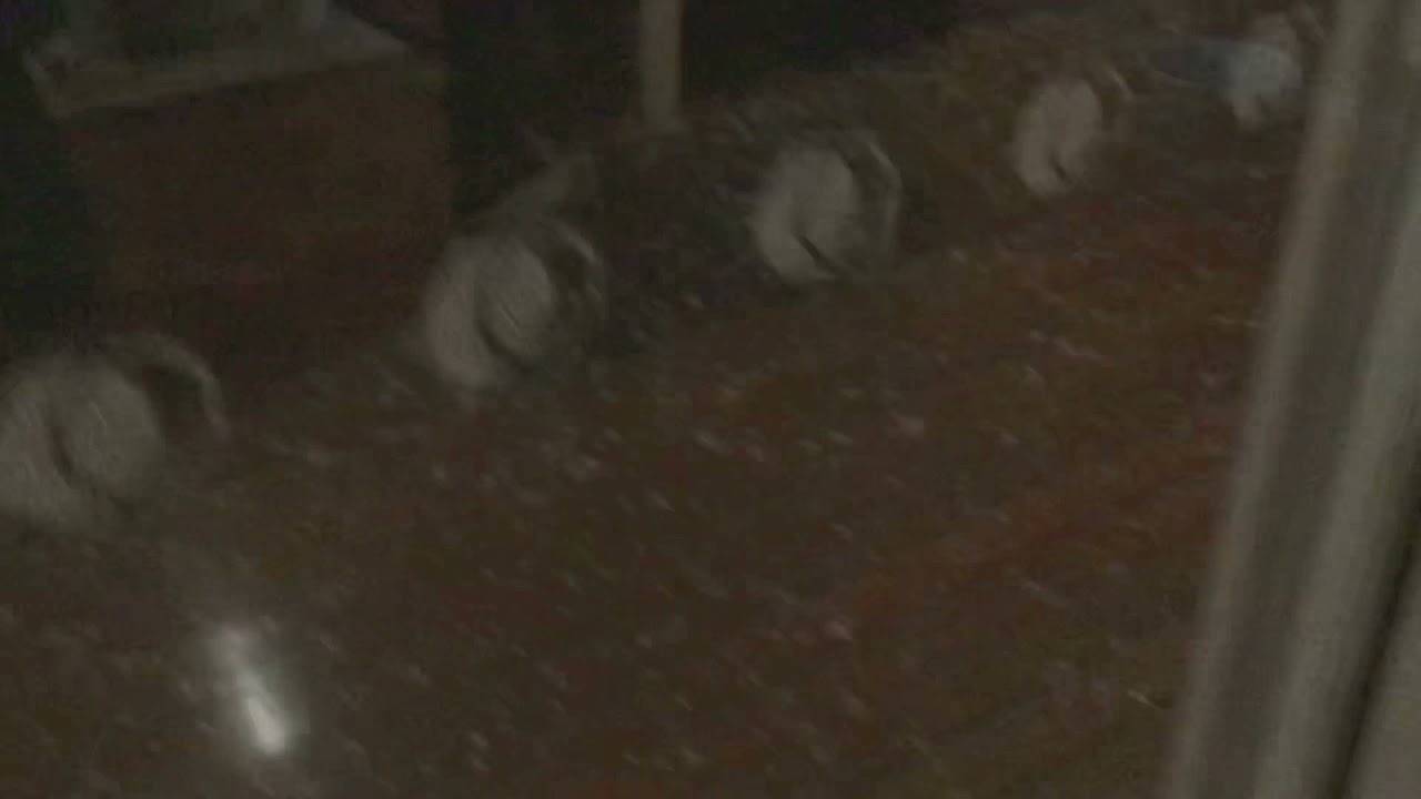 The hail in Gold Coast is crazy [looks like broken glass)