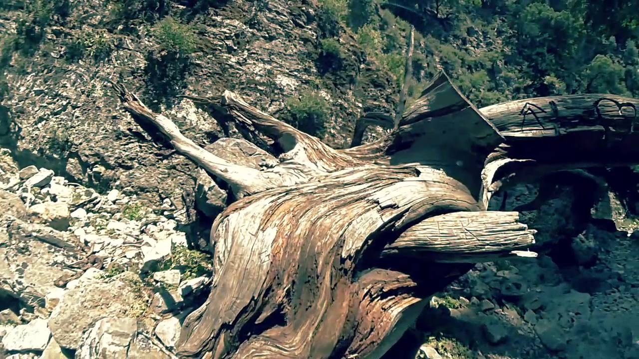 Imbros Schlucht Kreta  2016 - imbros gorge crete 2016