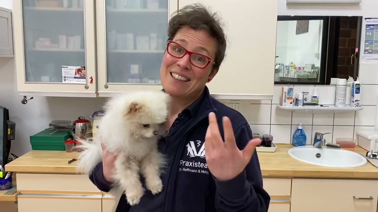 So sieht Alopezia X aus