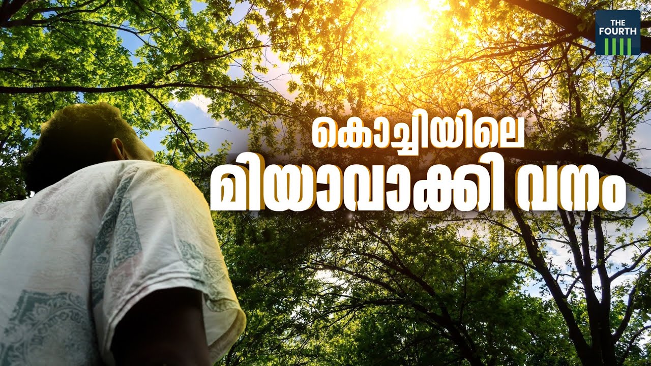 മിയാവാക്കിയെന്ന ഒരു തുള്ളി കാട് | Miyawaki Forest At CUSAT Campus | World Environment Day