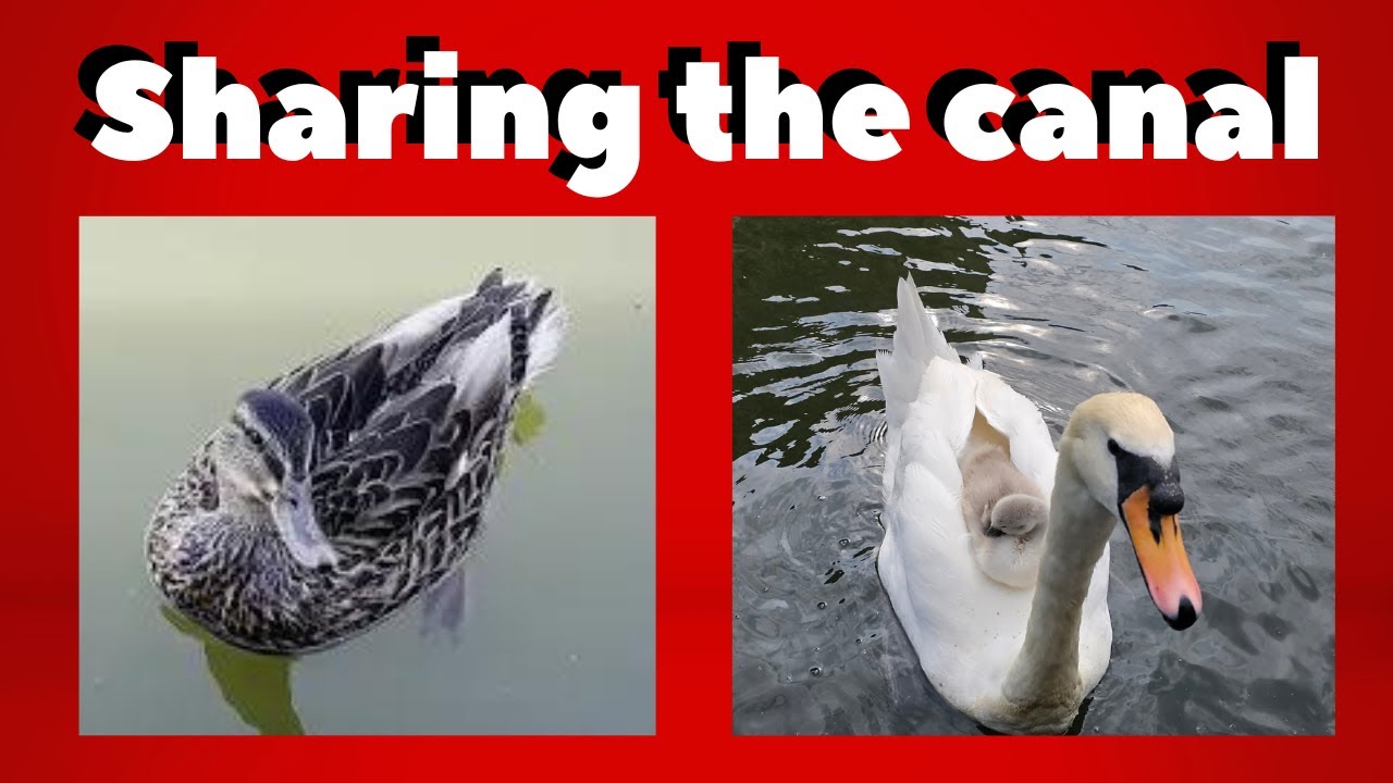 Nature Watch! Spring has brought new life into summer and it's great!