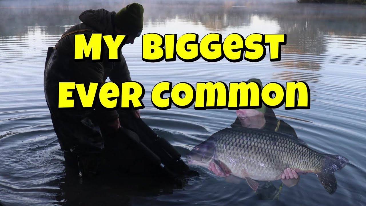 My Biggest Common Carp I've Ever Caught
