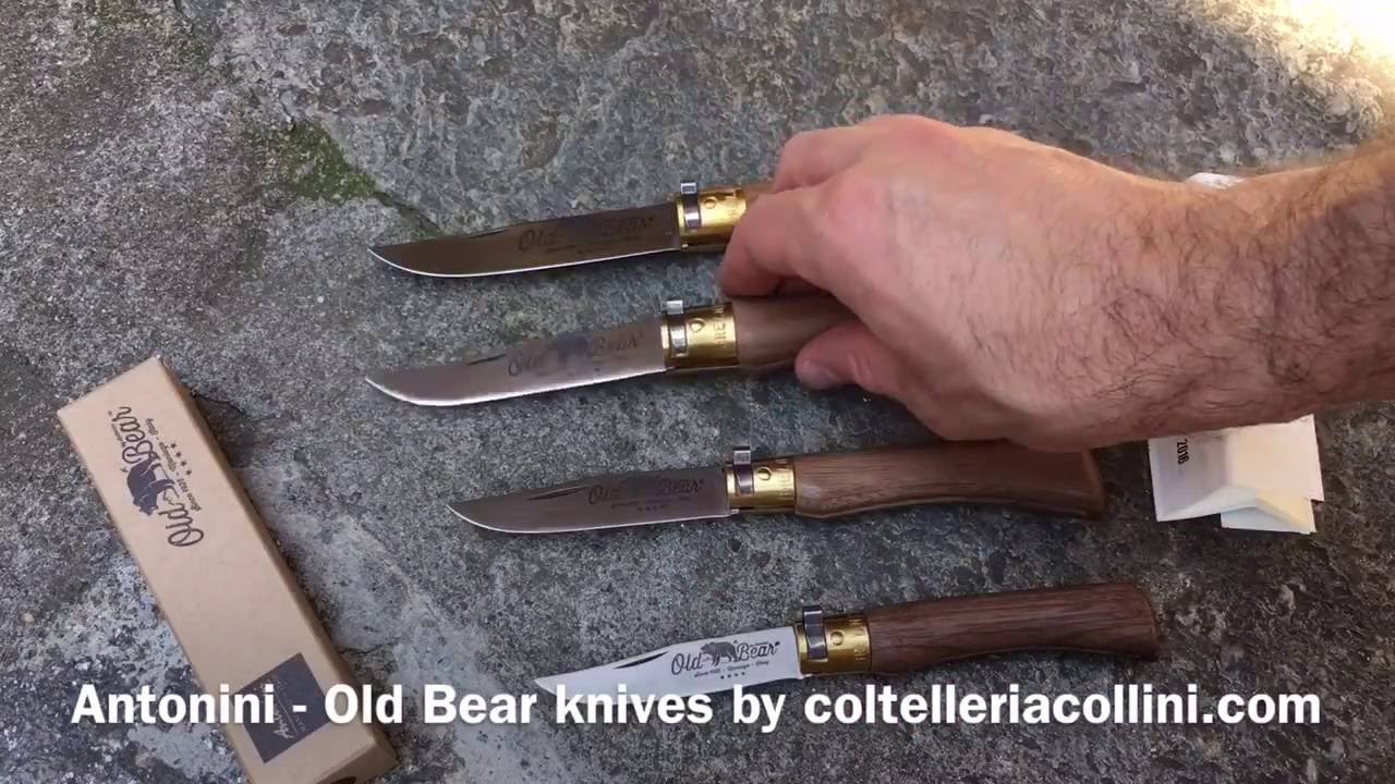 Antonini - Old Bear knives by coltelleriacollini.com