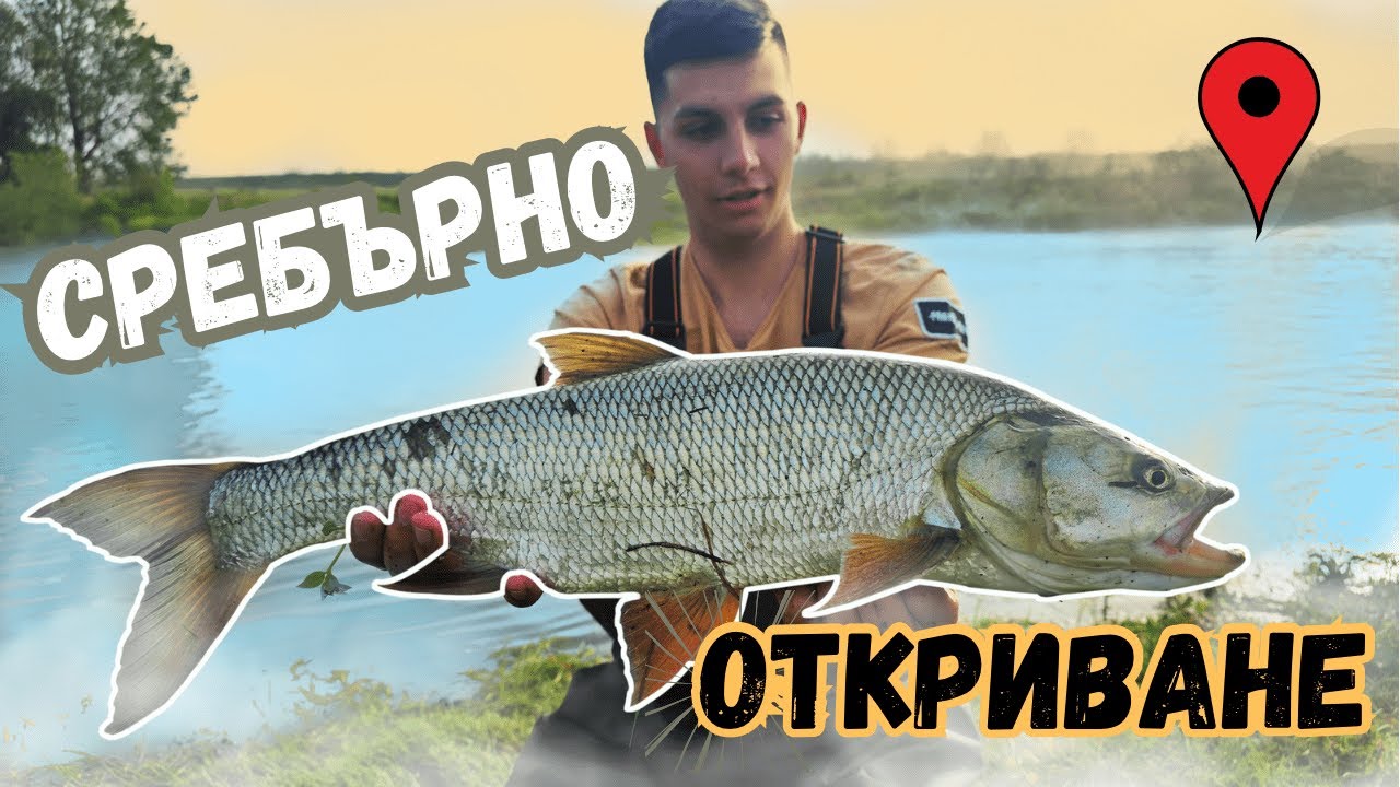 ТЕГЛЕНЕ НА GEVEAWAY-Я!! ЕДНА ОТ НАЙ-ТРУДНИТЕ РИБИ. РИБОЛОВ НА РАСПЕР НА РЕКА ТУНДЖА!!