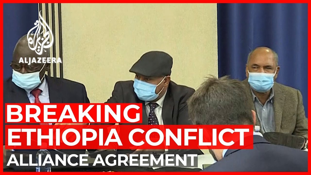 Ethiopia conflict: Anti-gov't group sign alliance agreement