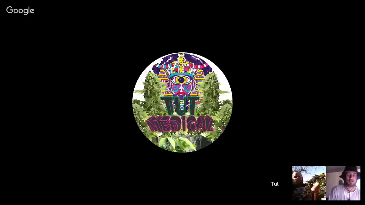 Mardoober Monday #21 - Season 2? Kind Hemp Co. and LIVE Harvest!