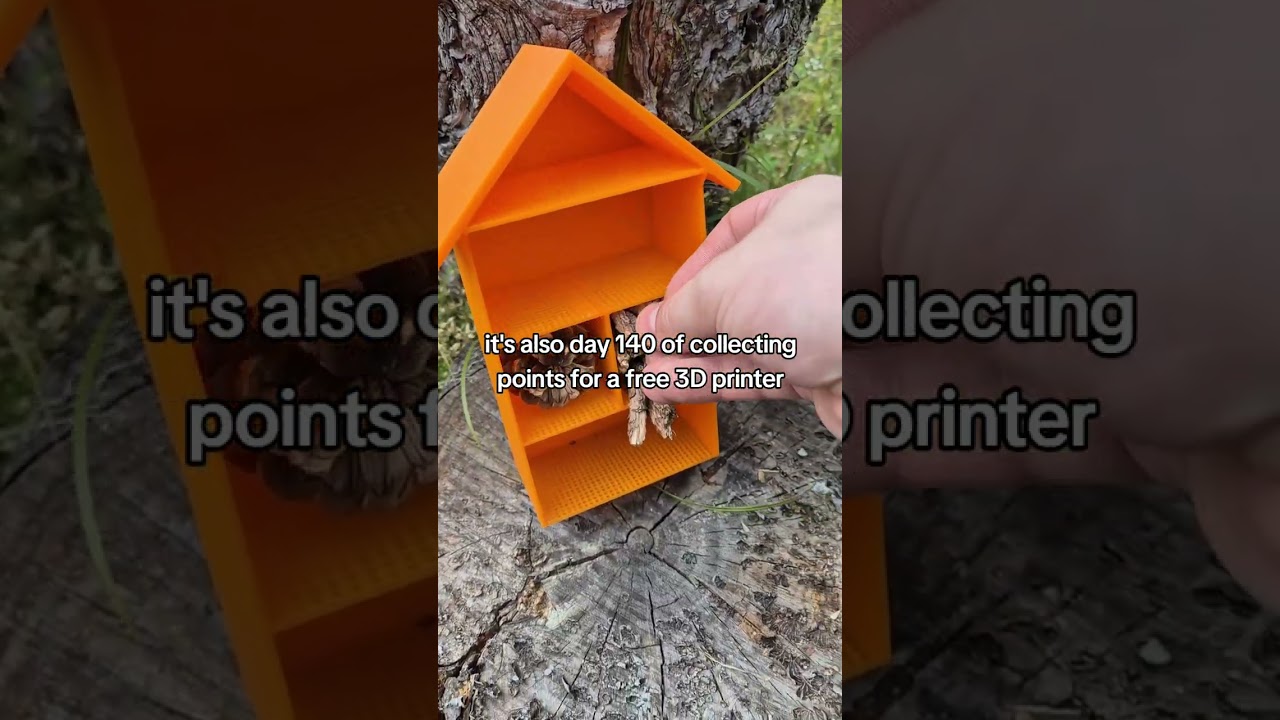 🐝 3D Printed Insect Hotel for World Bee Day | Day 140