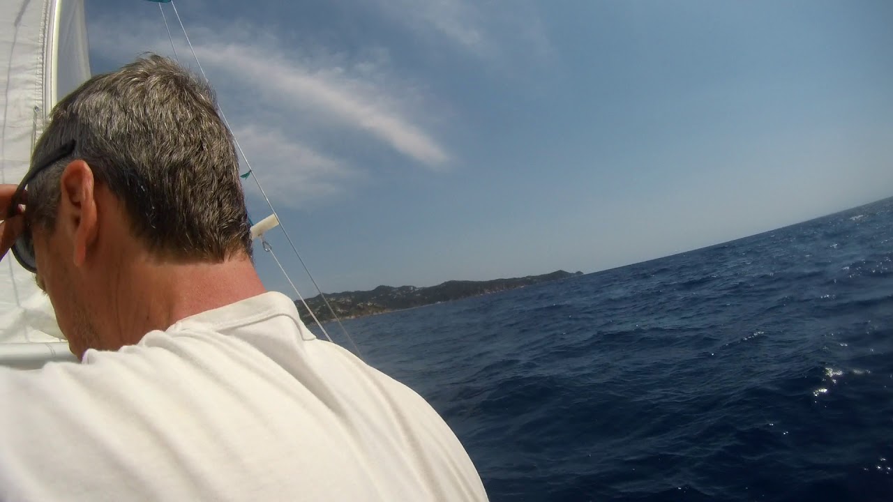 escorando pastinaca