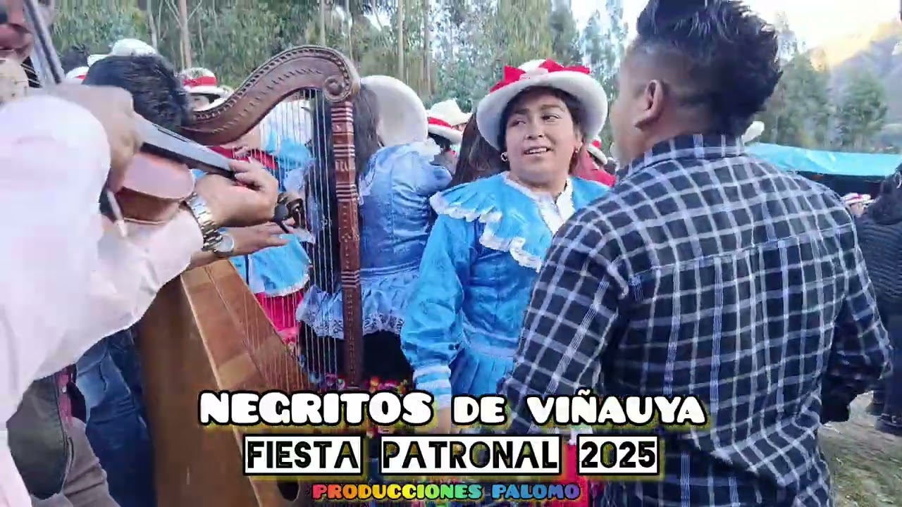 Fiesta patronal de viñauya 2025