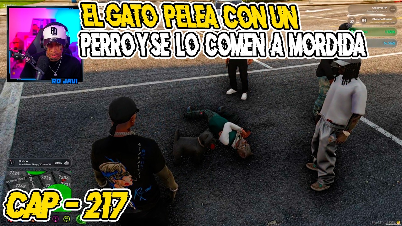 RDJavi: el Gato Pelea con Un Perro y se lo comen a Mordida