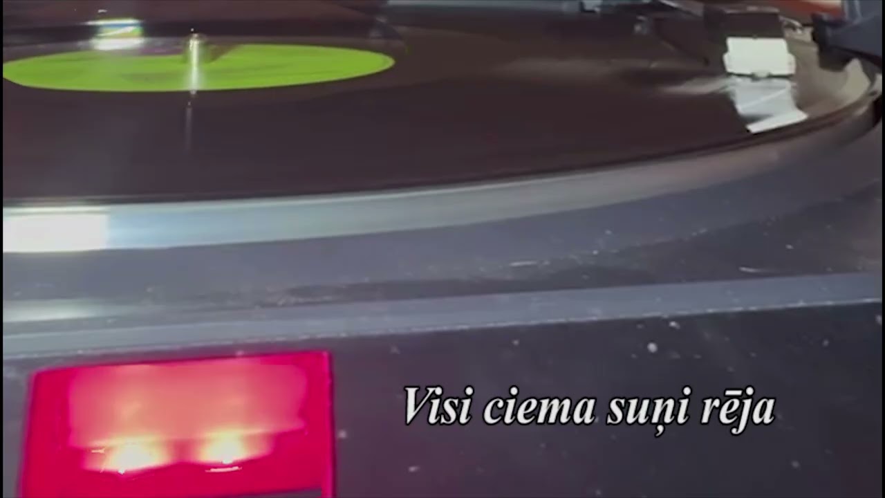 Visi ciema suņi rēja (kolāža)