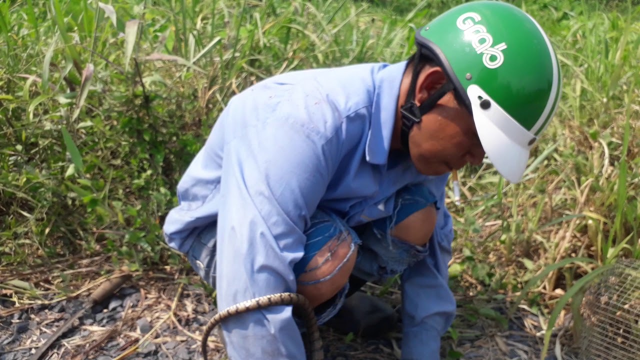Tham bay ran cu chi tap 12
