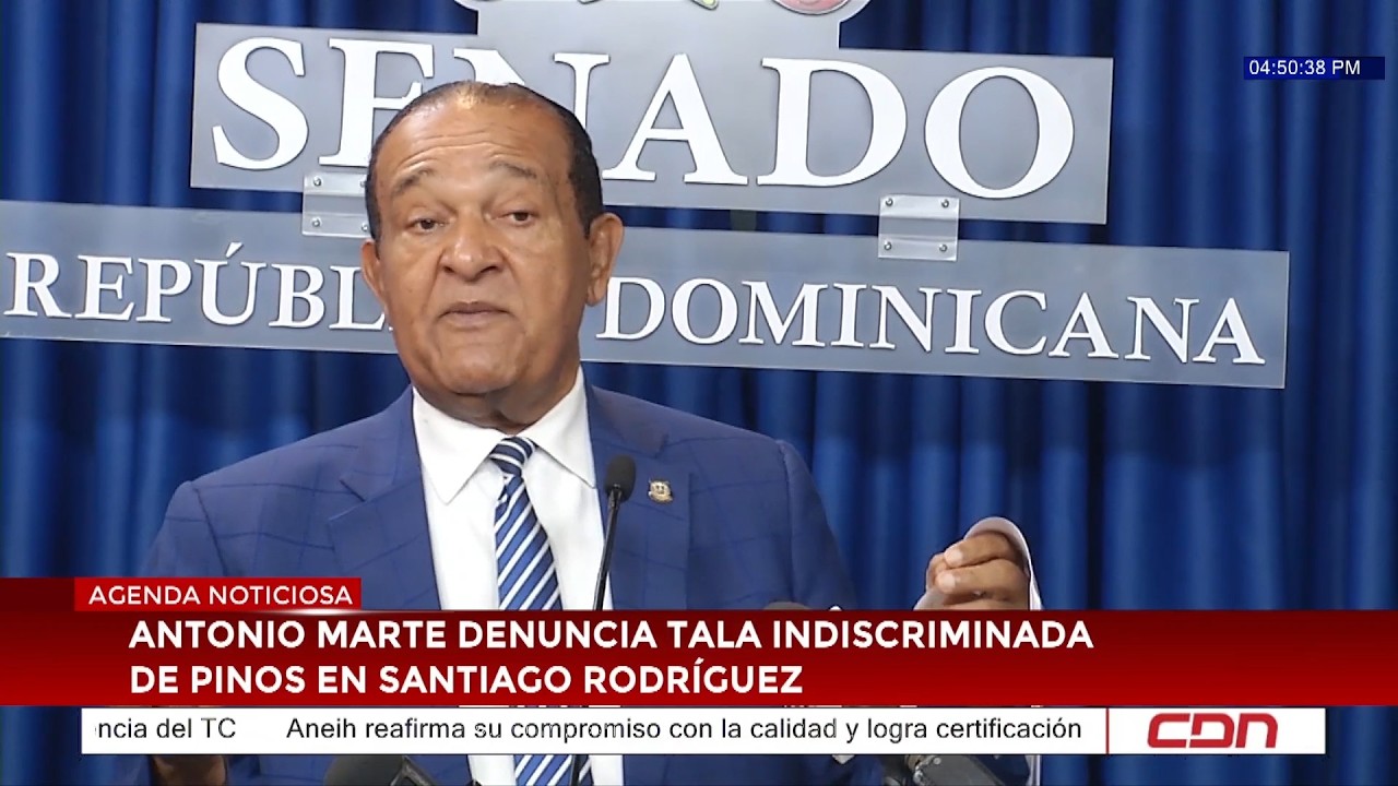 Antonio Marte denuncia tala indiscriminada de pinos en Santiago Rodríguez