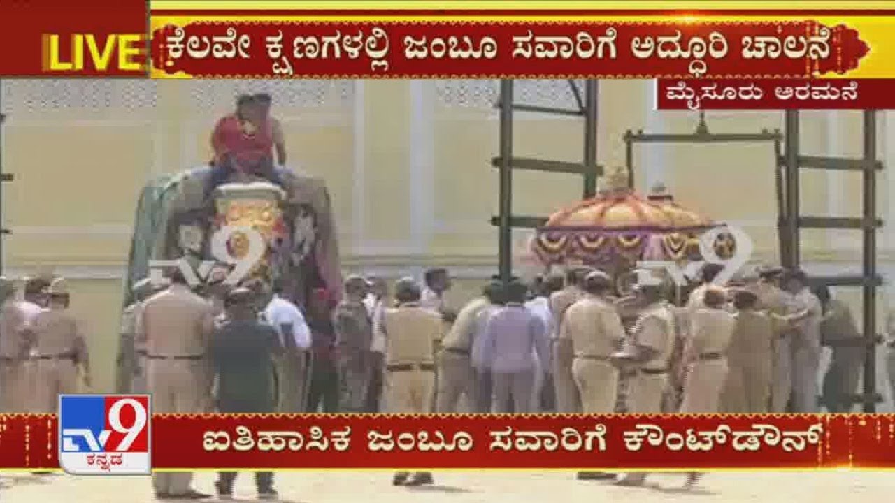 Mysuru Dasara 2020: Golden Howdah ready to be tied for Dasara elephant