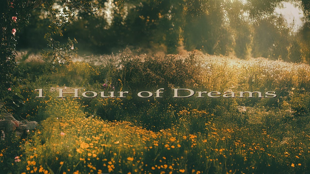 1 Hour of Soft Dreaming | Garden Path ambience