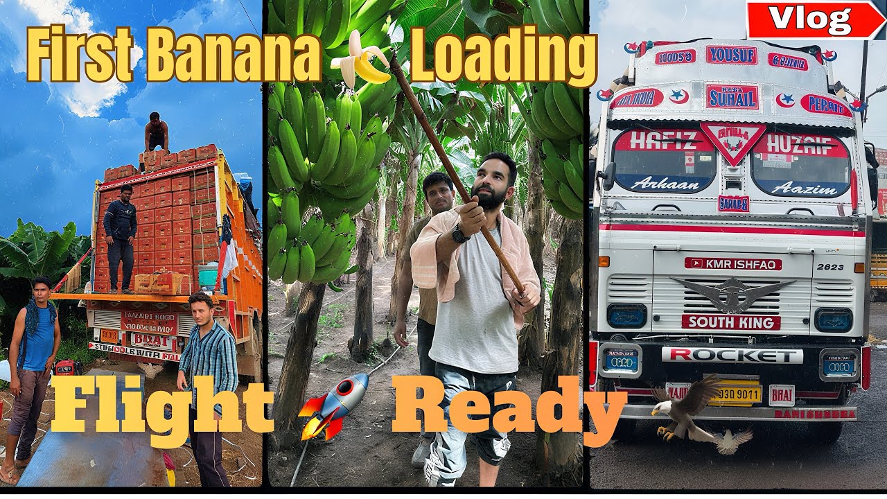 First Banana 🍌 Loading Start || Flight Ready Kashmir Valley Ke Leya 🚀🦅|| Vlog @Kmrishfaq 