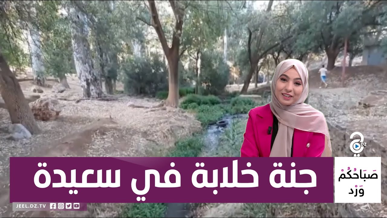 ولاية سعيدة تخفي مكان سياحي خلاب وكأنه مأخوذ من القصص الخرافية 🥰