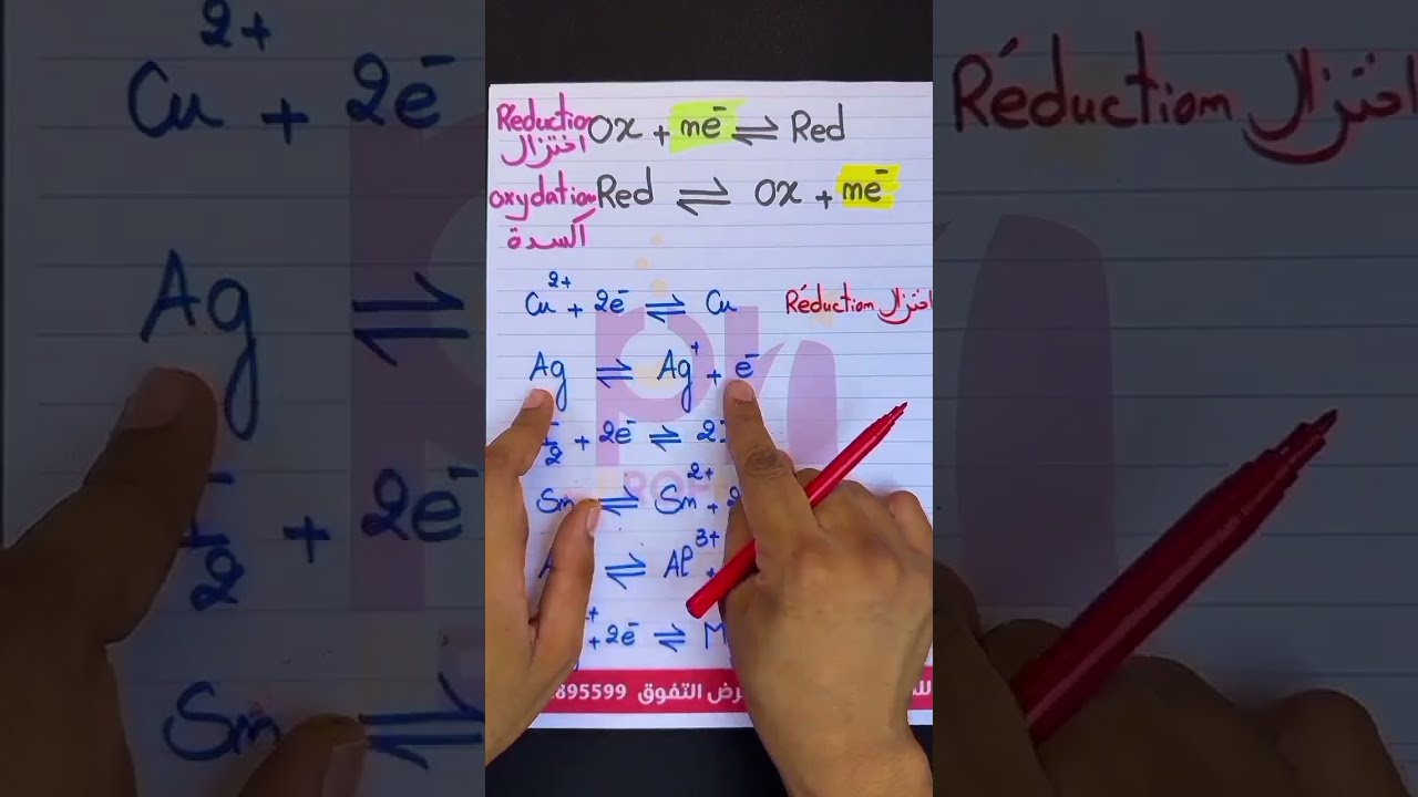 برنامج الفيزياء والكيمياء 2BAC + أساسيات الفيزياء 