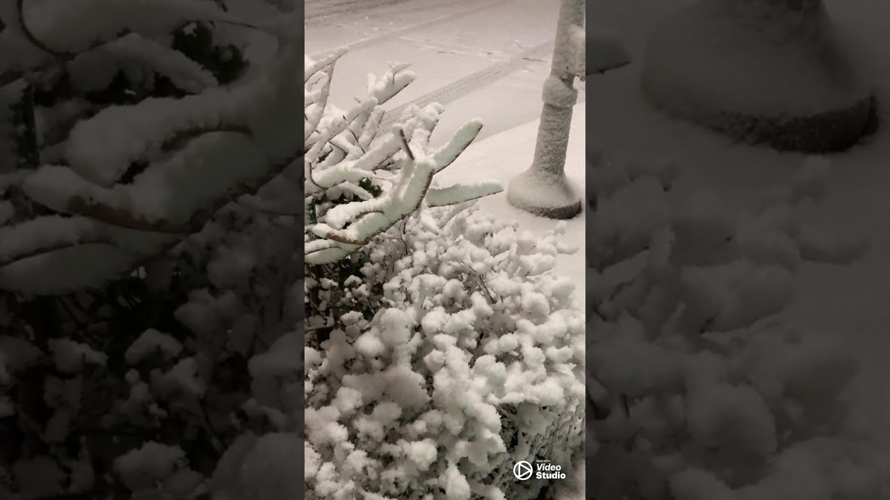 Extreme Snowstorm New York,Feb 23, 2026 - Winter Storm walk NYC #snowstorm #boardwalk #nyc 😱❄️☃️