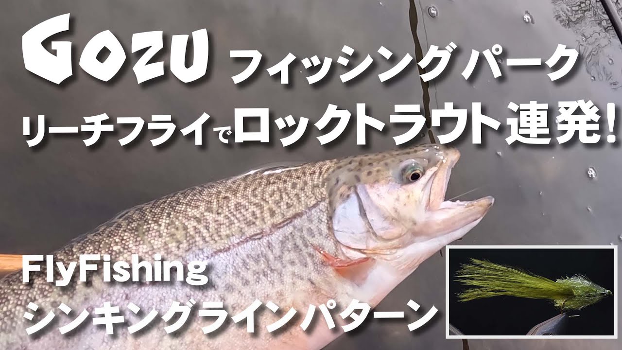 シンキングラインでロックトラウト連発！【五頭フィッシングパーク】冬の管理釣り場パターン【新潟フライフィッシング】