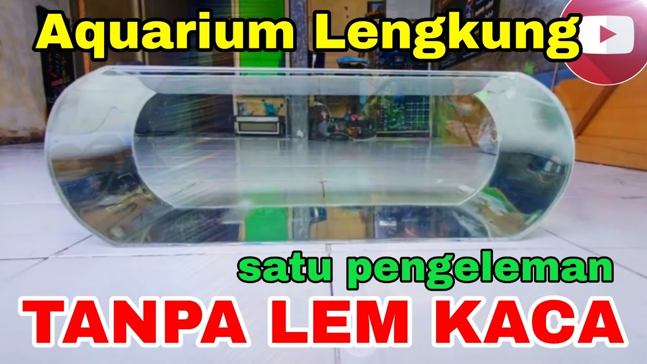Aquarium Akrilik Custom Lengkung