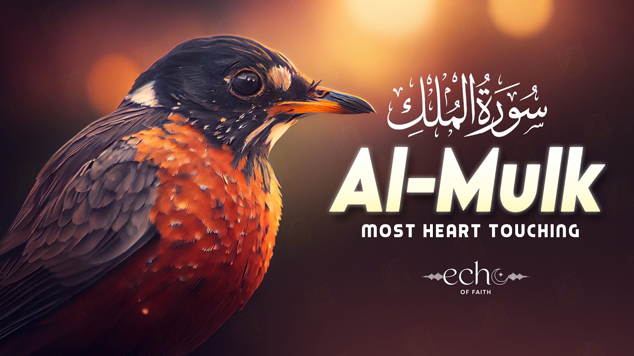 Surah Al-Mulk سورة الملك | Tranquil Night Listening for Stress Relief & Calm #lofiquran