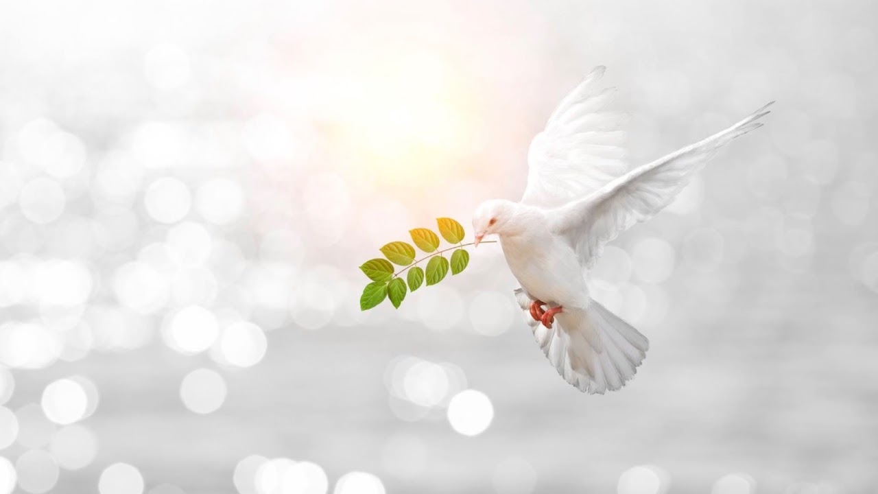 Sunday church 02/22/26