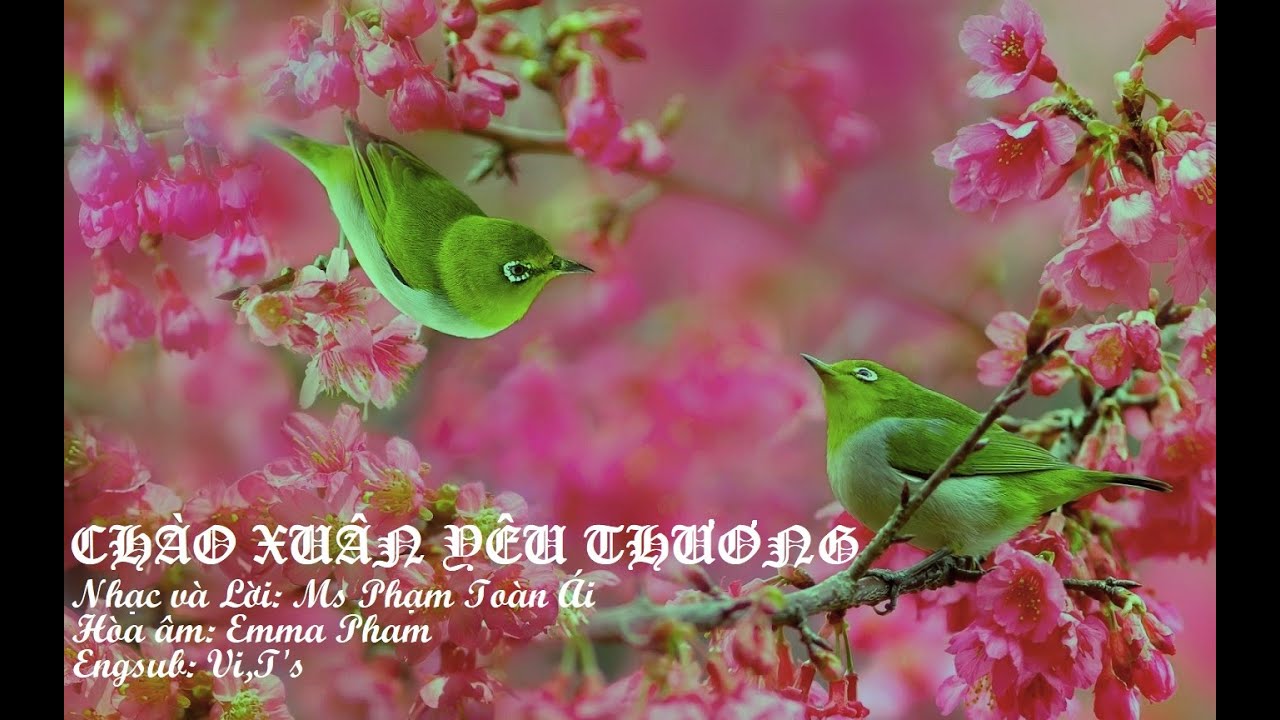 Karaoke Chào Xuân Yêu Thương (Engsub) - Nhac&Loi: Mục sư Pham Toàn Ái