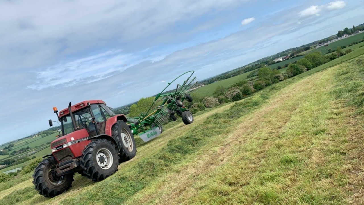 A Review of our year old McHales 68-78