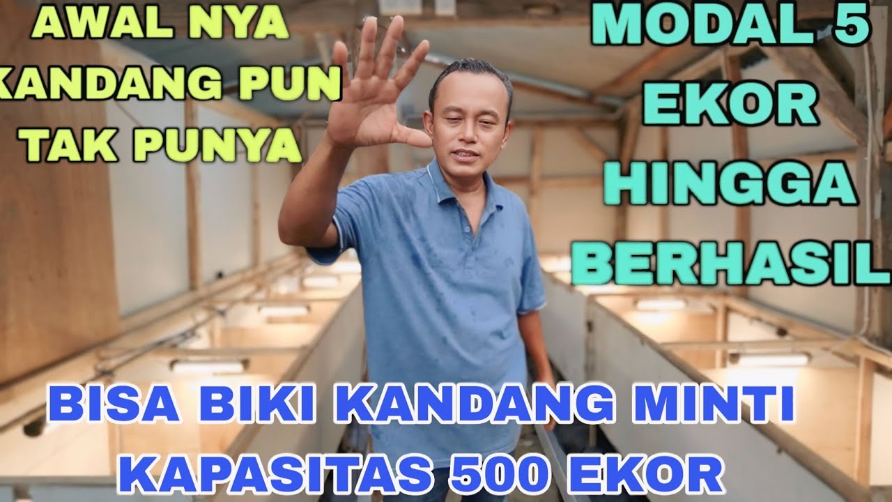 BELAJAR DARI YOUTUBE BISA TERNAK ENTOK MODAL 5 EKOR COCOK BUQT PEMULA#ENTOK #WQNTOJAVA #PQKQNENTOK