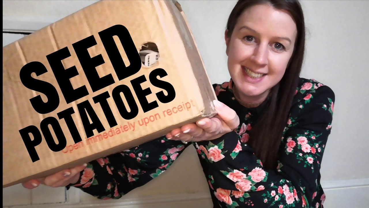 Seed Potatoes (My Saved & Heritage Selection For The Allotment Garden)