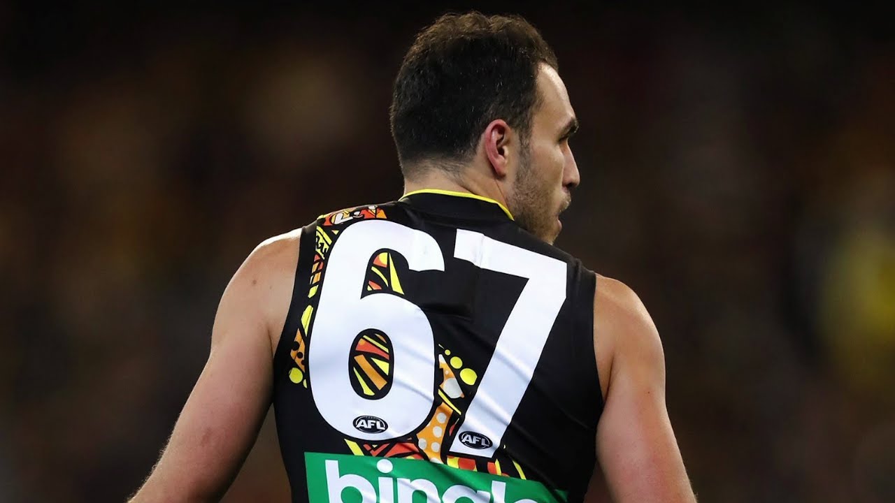 Shane Edwards Highlights VS Essendon (Round 10 2017)